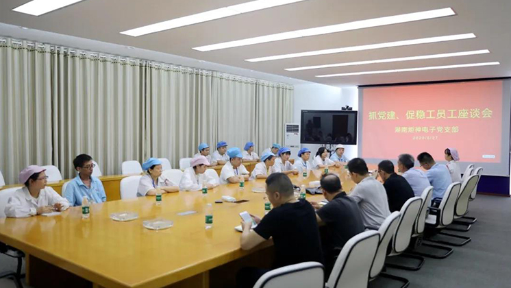抓黨建、促穩工”——炬神電子黨支部為企業穩工獻計獻策